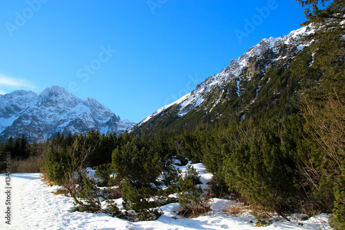 Fototapeta Naklejka Na Ścianę i Meble -  panorama of winter mountains. Tatra Poland