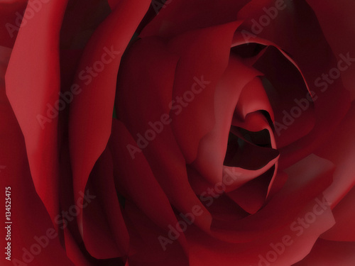 3D illustration zoom red rose