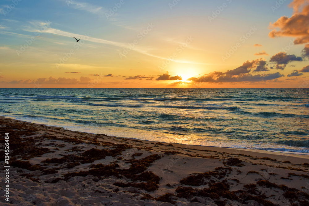 Sunrise @ Miami Beach