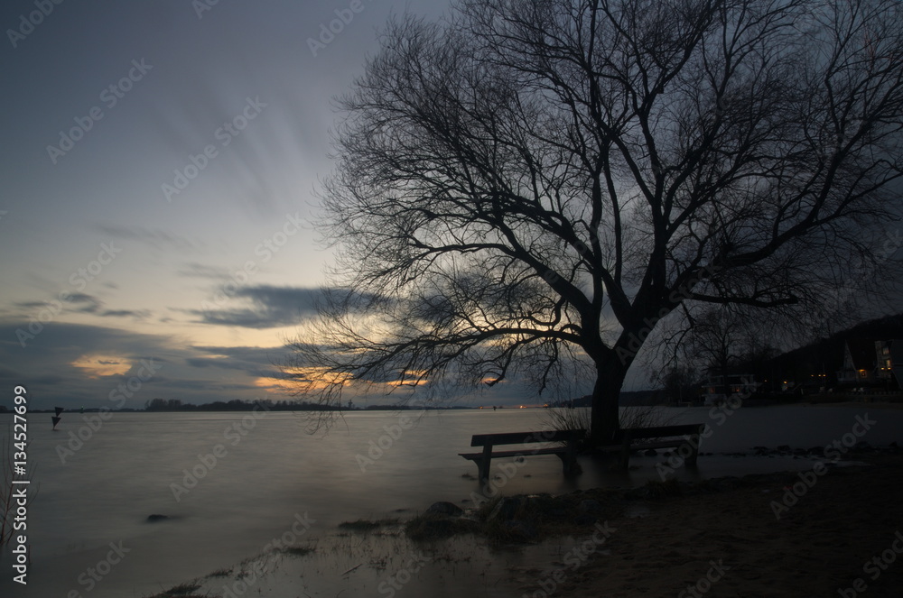 Sonnenuntergang in Hamburg mit Aussicht auf die Elbe mit einem Baum Sonnenuntergang in Hamburg mit Aussicht auf die Elbe mit einem Baum