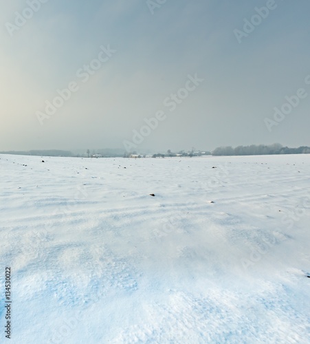 Winter snowy fields and foggy day