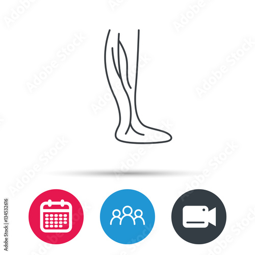 Phlebology icon. Leg veins sign. Varicose or thrombosis symbol. Group of people, video cam and calendar icons. Vector