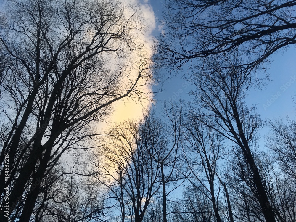 gigantic cloud in blue winter sky at sunset gigantic cloud in blue winter sky at sunset