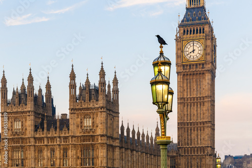 Raven on lampost at Houses of Parliament in early winter morning photo