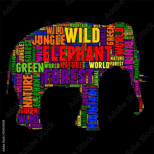 elephant Typography word cloud colorful Vector illustration