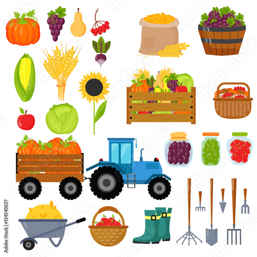 Harvest symbols isolated vector.