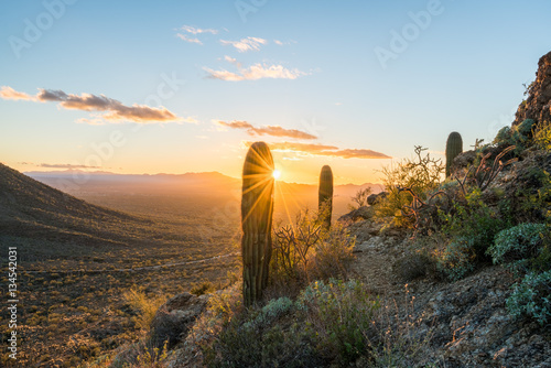 Sunset in Saguaro National Park West photo