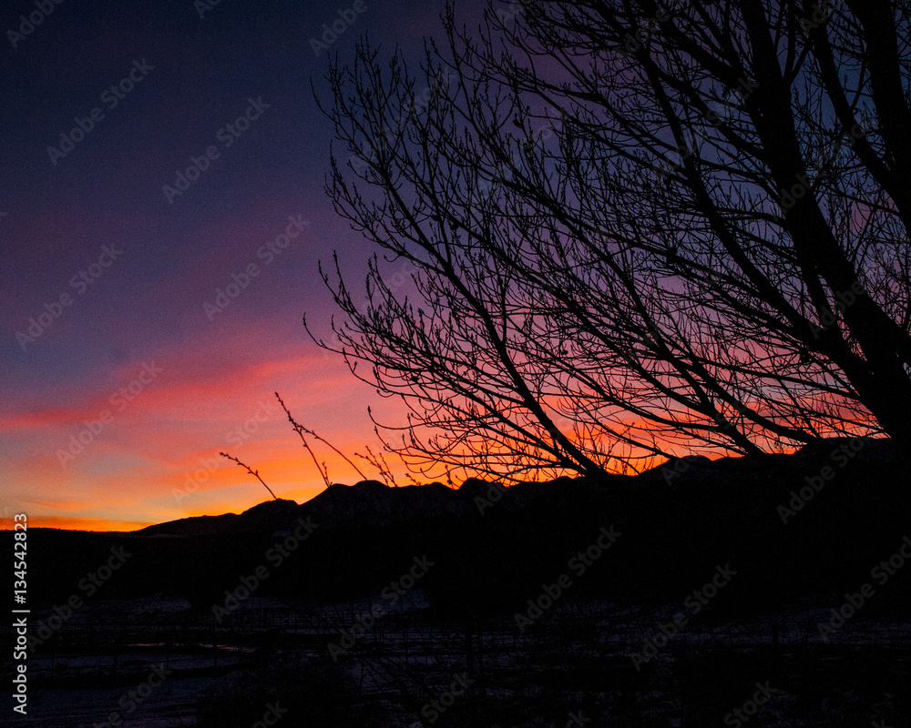 Fototapeta premium sunset