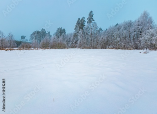 Wallpaper Mural Winter foggy landscape in polish countryside Torontodigital.ca