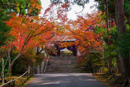 京都 曼殊院の紅葉 