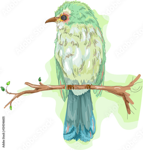 Bird Perch Tree Branch
