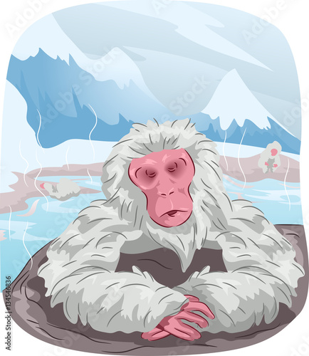 Japanese Macaque Monkey Hot Spring