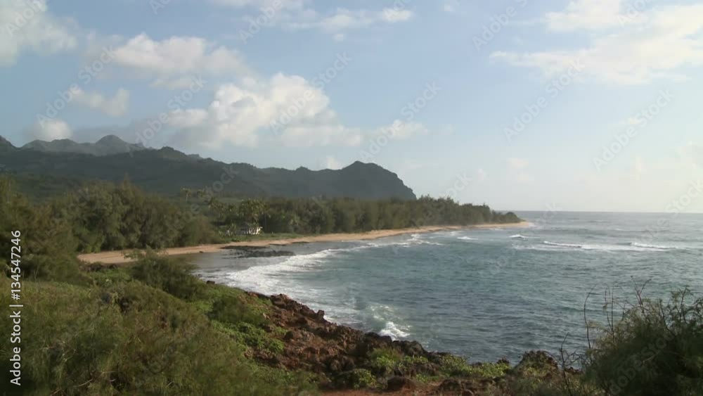 Tropical Hawaiian Beach and Waves on Sunny Day Tropical Hawaiian Beach and Waves on Sunny Day