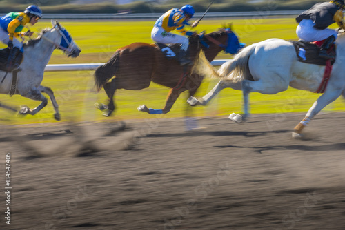 Fototapeta Naklejka Na Ścianę i Meble -  Horse Race colorful bright sunlit slow shutter speed motion effect fast moving thoroughbreds