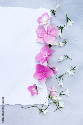 Spring  floral background with white paper and white lobelia