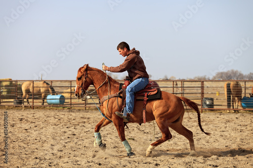 Horse Trainer © Steven