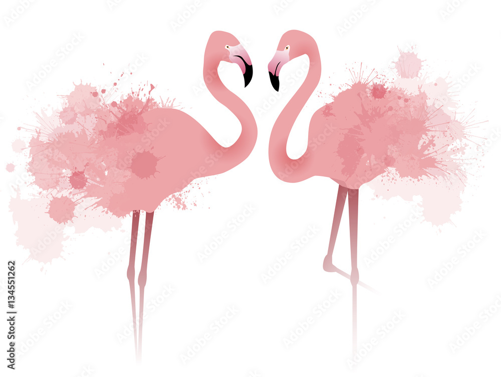 Naklejka premium Wektorowa ilustracja para różowi flamingi z akwareli splatter i pluśnięciem