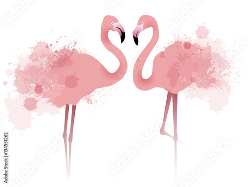 Vector illustration of couple pink flamingos with watercolor splatter and splash