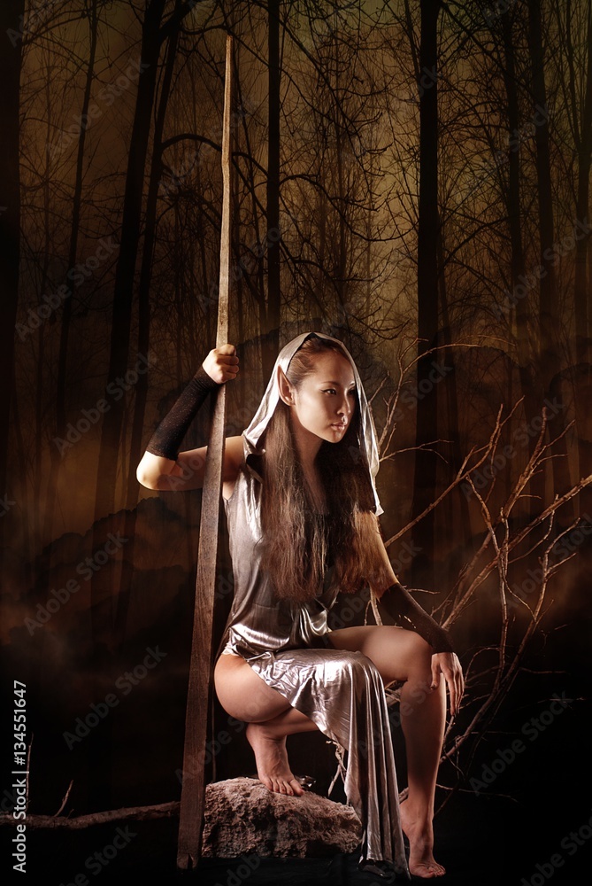 Young sexy fairy girl elf warrior in forest Stock Photo Adobe Stock