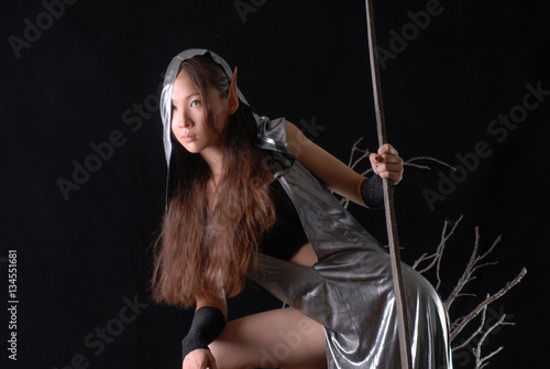 Obraz na plátně fairy girl elf warrior
