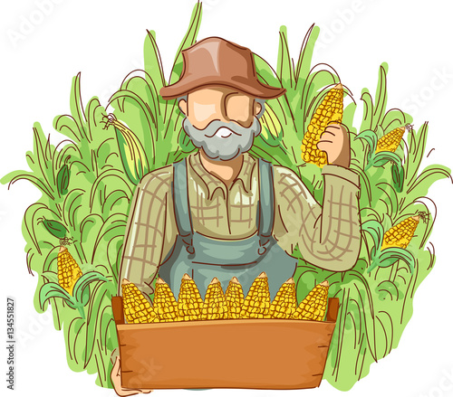 Man Farmer Cornfields Produce