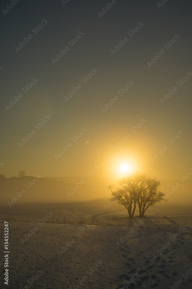 Winterlicher Sonnenuntergang bei Nebel