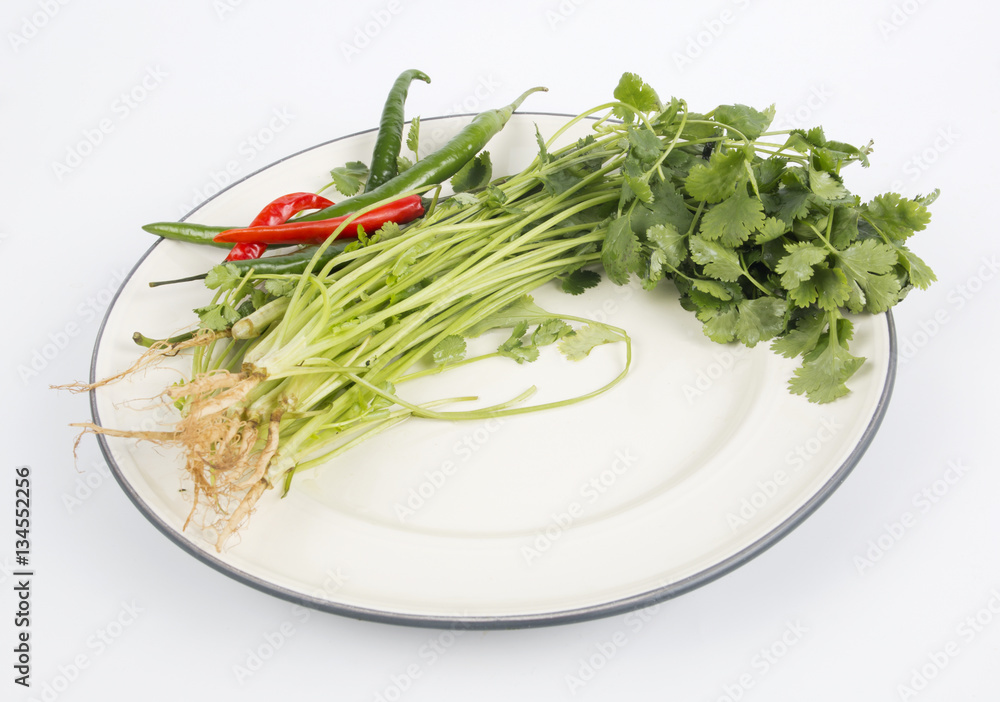Coriander or Cilantro and chili on a plate Coriander or Cilantro and chili on a plate