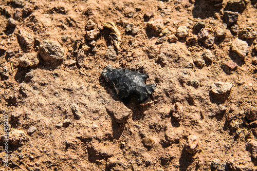 Arrowhead laying in the dirt