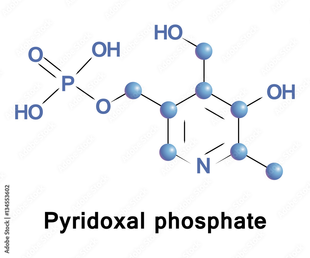 Pyridoxal phosphate, the active form of vitamin B6, is a coenzyme in a