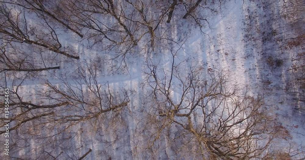Aerial view of the forest in winter .Flying over the winter forest .Top down aerial view of snowy trees . Looking down.Forest road covered with snow Aerial view of the forest in winter .Flying over the winter forest .Top down aerial view of snowy trees . Looking down.Forest road covered with snow