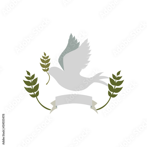 pigeon with olive branch and label vector illustration