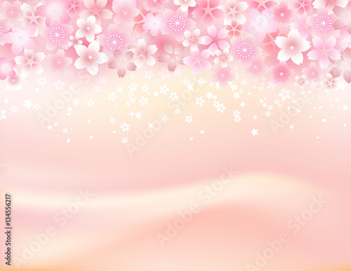 桜237