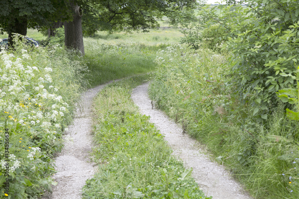 Landscpae in Monyash; Peak District