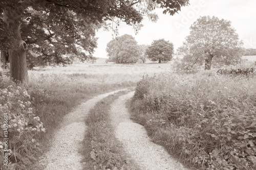 Landscpae in Monyash; Peak District; England photo