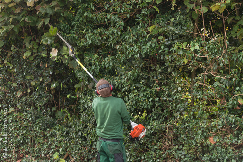 Professioneller Hecken schneiden