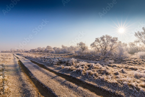 Beautiful winter scenery with trees covered by frost  along frozen river