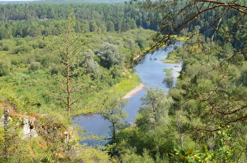 the view on the river and the forest