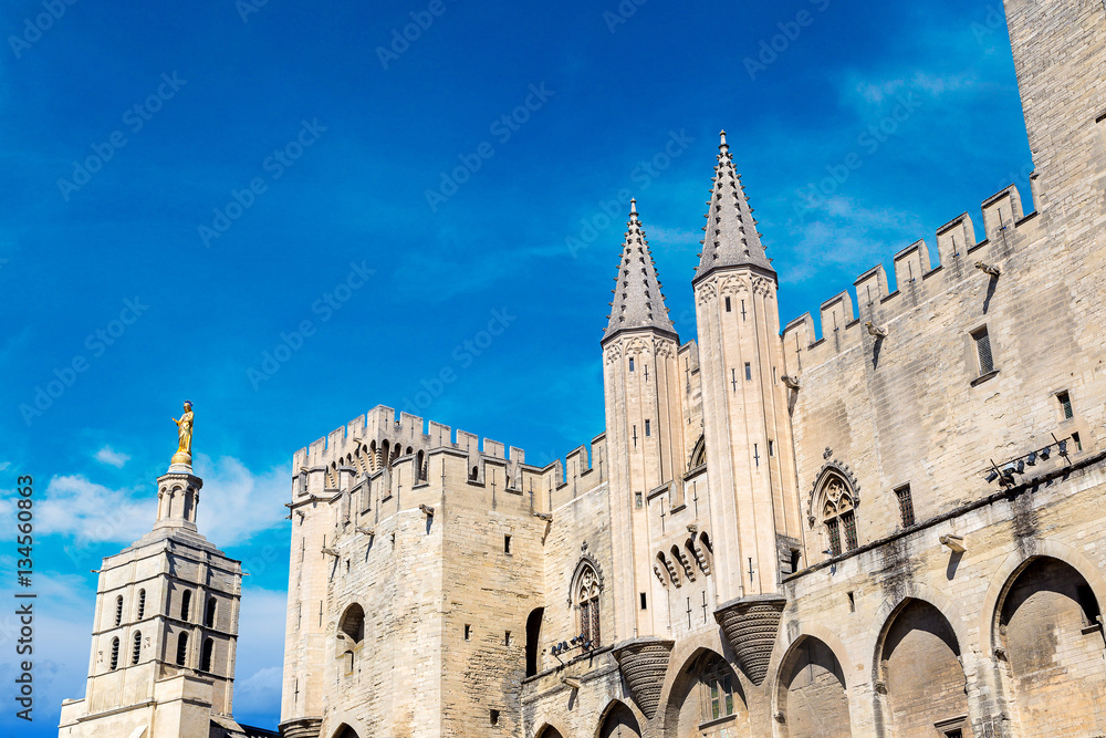 Fototapeta premium Cathedral and Papal palace in Avignon