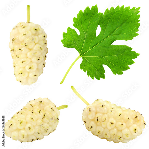 Set of fresh ripe white mulberry berry with leaf isolated on white background. Design element for product label, catalog print, web use.