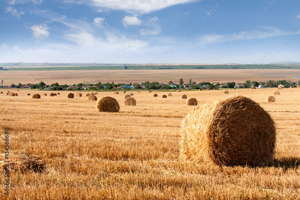 Summer Field with Hay Bales as background
