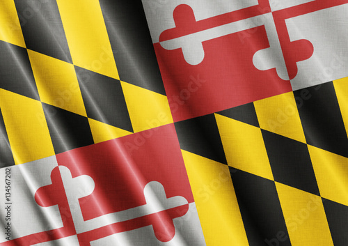 Maryland waving flag close photo