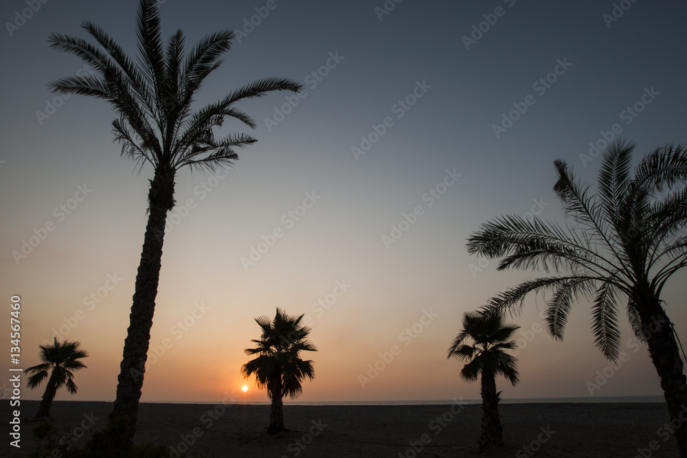 Playa al amanecer