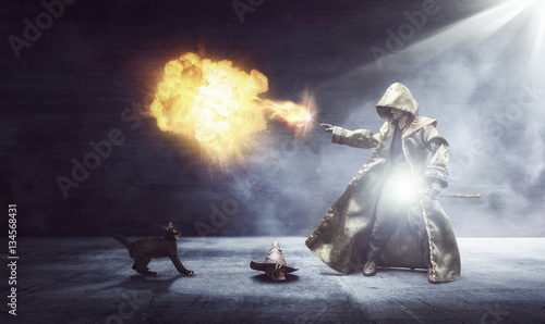 Fotografie, Obraz Wizard conjuring a fireball while the cat is scared