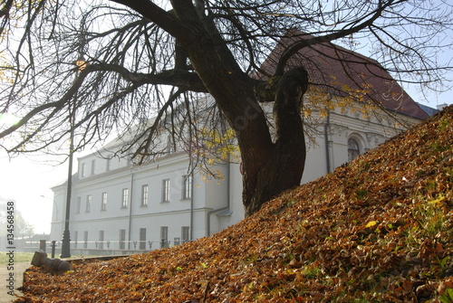 Lublin, Kosciol pw. sw. Wojciecha. photo