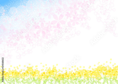 菜の花　桜　青空　背景 