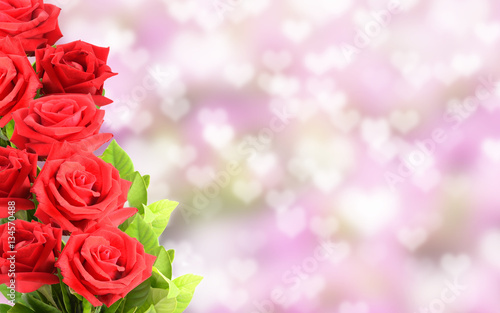 Red roses with shiny background.
