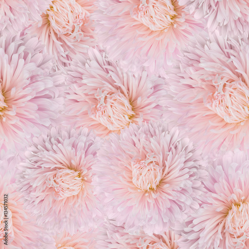  seamless pattern pale pink aster