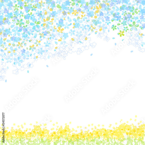 春花　菜の花　背景