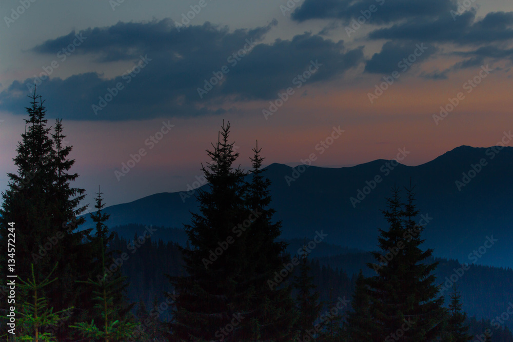 Sunrise in the mountains. Outlines of spruce tops and the sun's rays make their way through clouds peaks. background. Coniferous forest