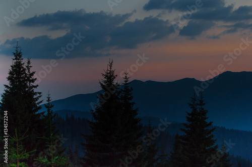 Fototapeta Naklejka Na Ścianę i Meble -  Sunrise in the mountains. Outlines of spruce tops and the sun's rays make their way through clouds peaks. background. Coniferous forest